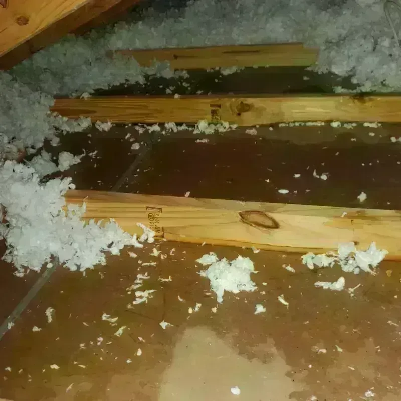 Attic Water Damage in Lovington, IL